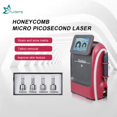 Machines portatives de retrait de tatouage de laser de Pico de rajeunissement de peau de vente chaude pour le salon de beauté